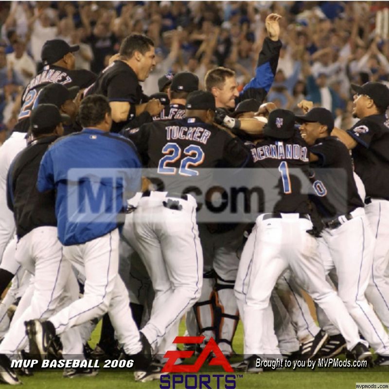 More information about "Mets NL east champs CTS from the CTS factory"