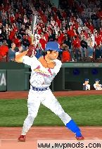 More information about "Blue and Red Batting Shin Guards"