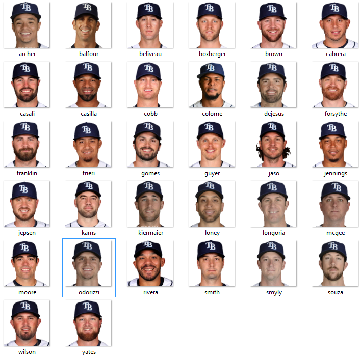 Rays roster on sale