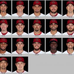 More information about "2013 Arizona Diamondbacks 2x Portriats"
