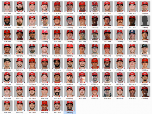 More information about "PORTRAIT for MVP 2015 Opening day 10"