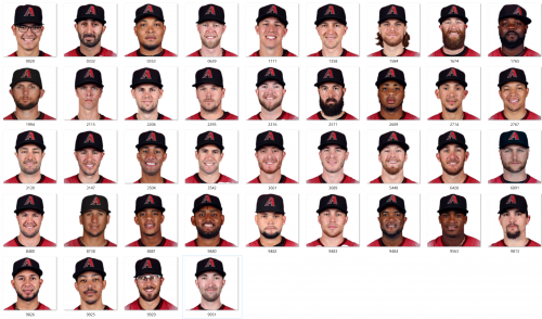 More information about "2017 Arizona Diamondbacks"