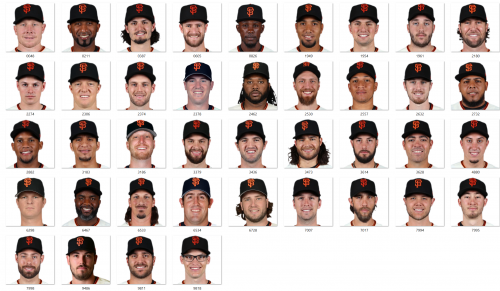 More information about "2017 San Francisco Giants"