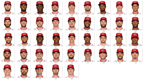 More information about "2017 Cincinnati Reds"