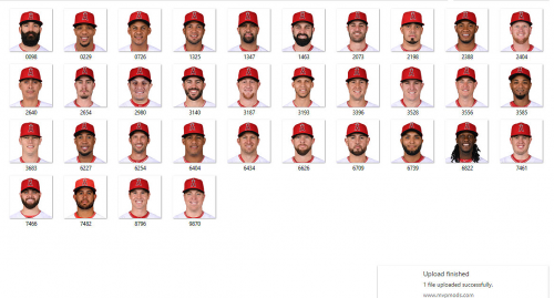 More information about "Los Angeles Angels 2017"