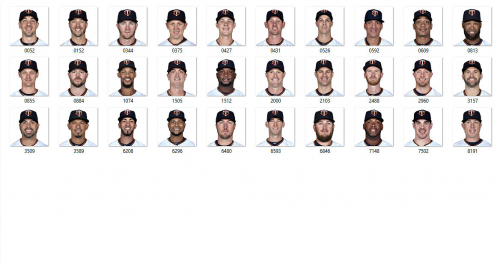 More information about "Minnesota Twins 2017"