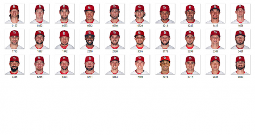 More information about "St. Louis Cardinals 2017"