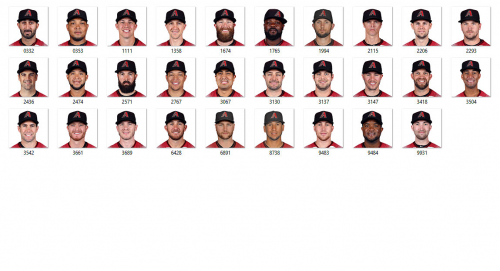More information about "Arizona Diamondbacks 2017"