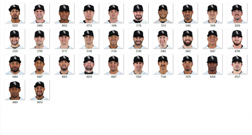 More information about "Chicago White Sox 2017"