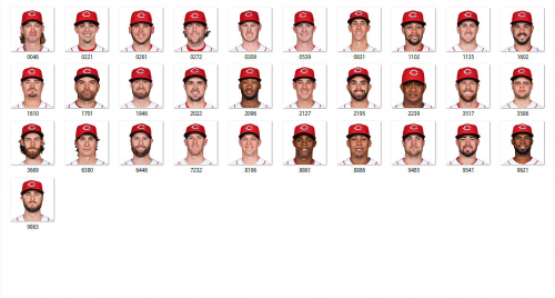More information about "Cincinnati Reds 2017"
