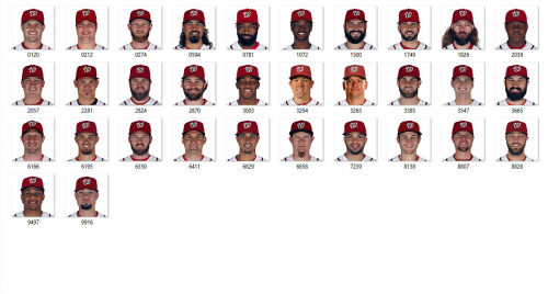More information about "Washington Nationals 2017"