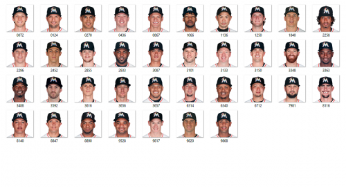 More information about "Miami Marlins 2017"