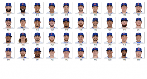 More information about "Chicago Cubs 2017"