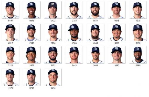 More information about "Tampa Bay Rays 2017"