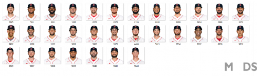 More information about "Boston Red Sox portraits 2020"