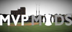 More information about "Steinbrenner Field (AAA Stadium for the Rays)"