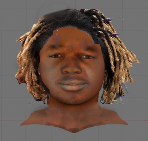 Vladimir Guerrero Jr.png