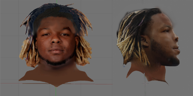 Vladimir Guerrero Jr.png