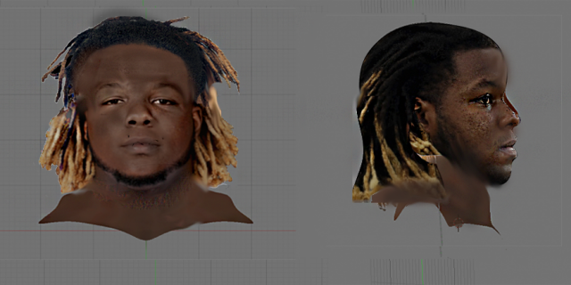 Vladimir Guerrero Jr.png